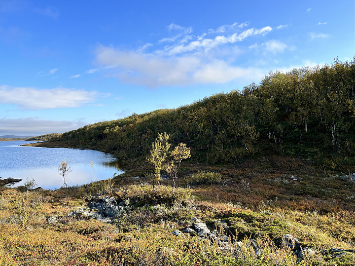 Klicke auf die Grafik für eine vergrößerte Ansicht  Name: 20230-09 Varanger - 001296.jpg Ansichten: 0 Größe: 5,54 MB ID: 3254401