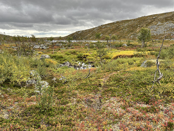 Klicke auf die Grafik für eine vergrößerte Ansicht  Name: 20230-09 Varanger - 001339.jpg Ansichten: 0 Größe: 7,46 MB ID: 3254407