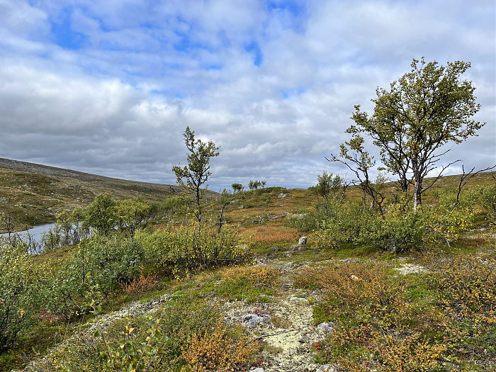 Klicke auf die Grafik für eine vergrößerte Ansicht  Name: 20230-09 Varanger - 001345.jpg Ansichten: 0 Größe: 5,60 MB ID: 3254408