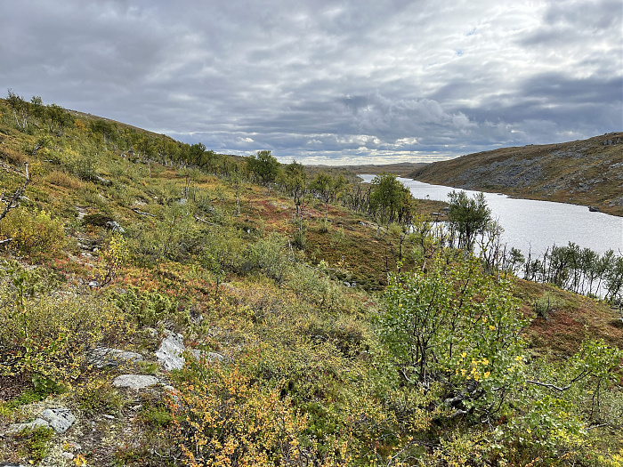 Klicke auf die Grafik für eine vergrößerte Ansicht  Name: 20230-09 Varanger - 001344.jpg Ansichten: 0 Größe: 6,45 MB ID: 3254409