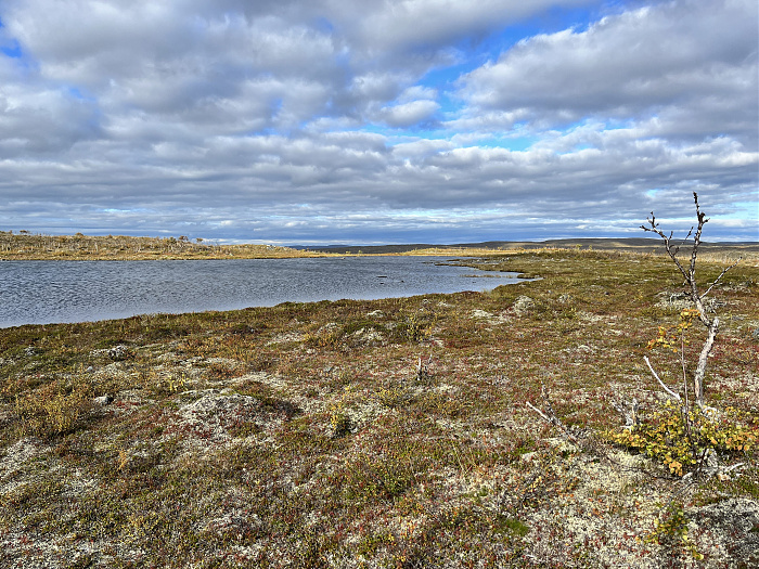Klicke auf die Grafik für eine vergrößerte Ansicht  Name: 20230-09 Varanger - 001364.jpg Ansichten: 0 Größe: 5,97 MB ID: 3254413