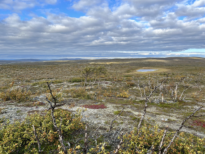 Klicke auf die Grafik für eine vergrößerte Ansicht  Name: 20230-09 Varanger - 001374.jpg Ansichten: 0 Größe: 5,59 MB ID: 3254415
