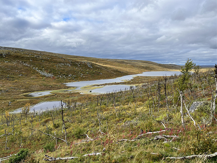 Klicke auf die Grafik für eine vergrößerte Ansicht  Name: 20230-09 Varanger - 001349.jpg Ansichten: 0 Größe: 5,46 MB ID: 3254416