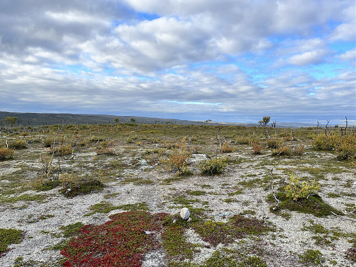 Klicke auf die Grafik für eine vergrößerte Ansicht  Name: 20230-09 Varanger - 001378.jpg Ansichten: 0 Größe: 5,35 MB ID: 3254418