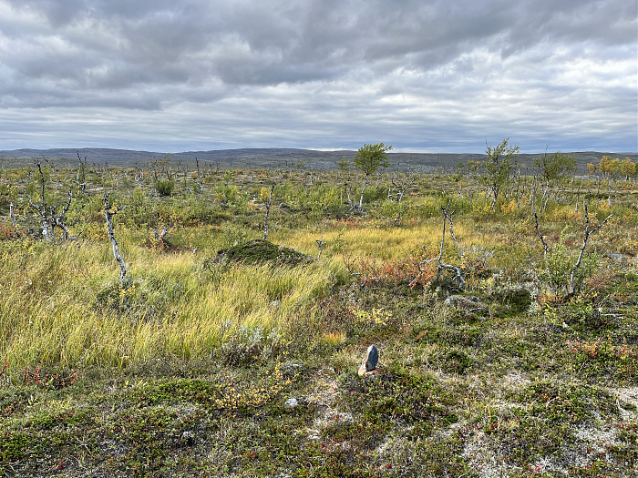 Klicke auf die Grafik für eine vergrößerte Ansicht  Name: 20230-09 Varanger - 001380.jpg Ansichten: 0 Größe: 6,61 MB ID: 3254419