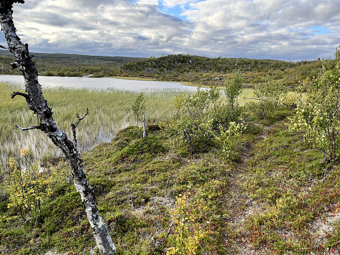 Klicke auf die Grafik für eine vergrößerte Ansicht  Name: 20230-09 Varanger - 001406.jpg Ansichten: 0 Größe: 6,74 MB ID: 3254422