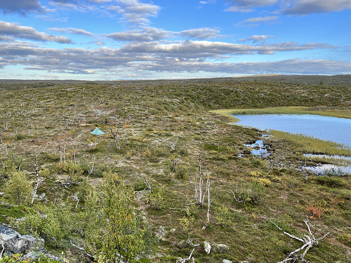 Klicke auf die Grafik für eine vergrößerte Ansicht  Name: 20230-09 Varanger - 001414.jpg Ansichten: 0 Größe: 5,94 MB ID: 3254425