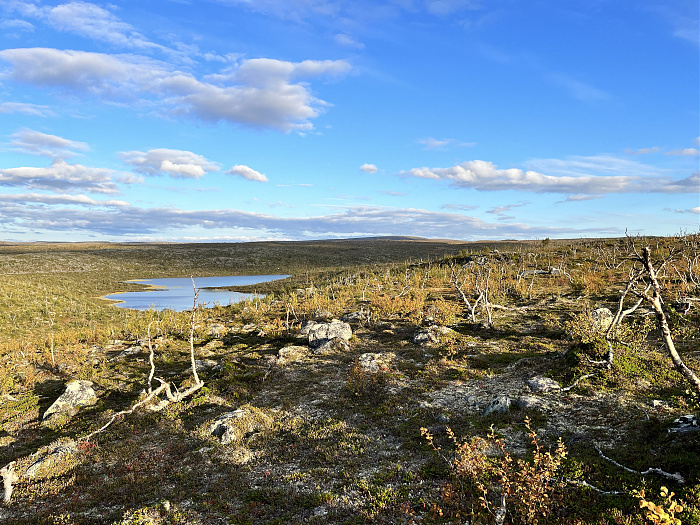 Klicke auf die Grafik für eine vergrößerte Ansicht  Name: 20230-09 Varanger - 001423.jpg Ansichten: 0 Größe: 5,44 MB ID: 3254428