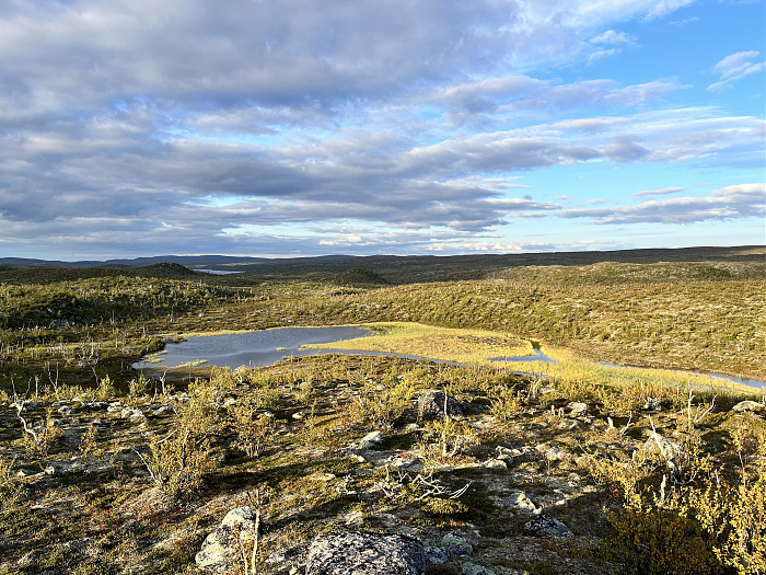 Klicke auf die Grafik für eine vergrößerte Ansicht  Name: 20230-09 Varanger - 001424.jpg Ansichten: 0 Größe: 5,63 MB ID: 3254430