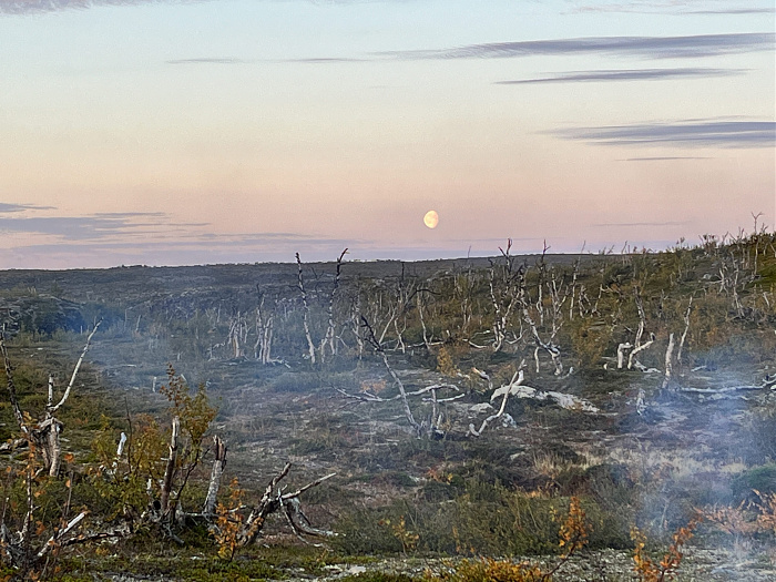 Klicke auf die Grafik für eine vergrößerte Ansicht  Name: 20230-09 Varanger - 001440.jpg Ansichten: 0 Größe: 2,71 MB ID: 3254431
