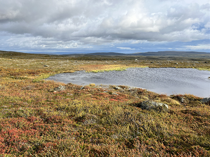 Klicke auf die Grafik für eine vergrößerte Ansicht  Name: 20230-09 Varanger - 001488.jpg Ansichten: 0 Größe: 6,42 MB ID: 3254488