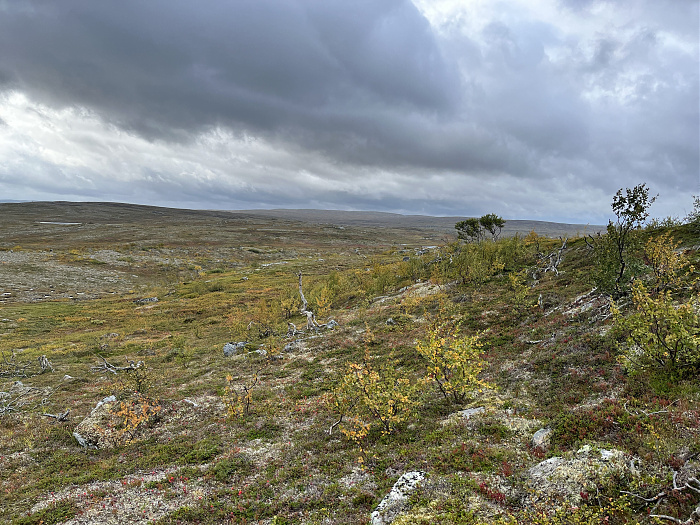 Klicke auf die Grafik für eine vergrößerte Ansicht  Name: 20230-09 Varanger - 001500.jpg Ansichten: 0 Größe: 5,11 MB ID: 3254492