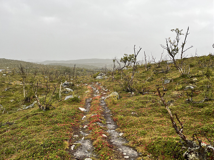 Klicke auf die Grafik für eine vergrößerte Ansicht  Name: 20230-09 Varanger - 001527.jpg Ansichten: 0 Größe: 5,64 MB ID: 3254493