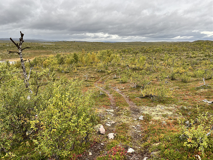 Klicke auf die Grafik für eine vergrößerte Ansicht  Name: 20230-09 Varanger - 001519.jpg Ansichten: 0 Größe: 6,76 MB ID: 3254497