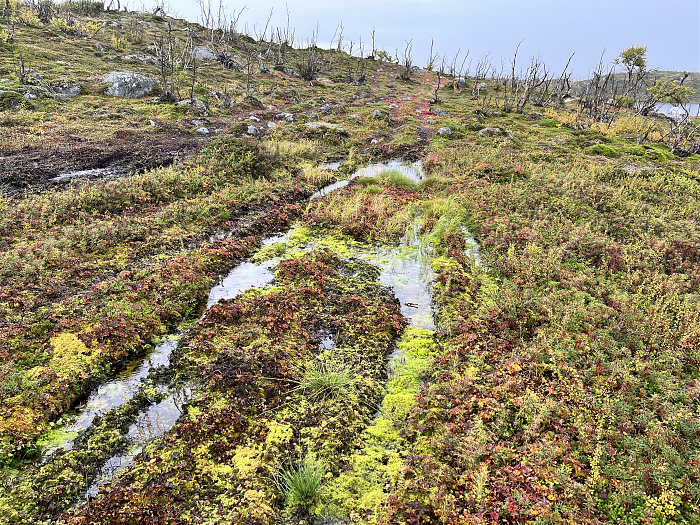 Klicke auf die Grafik für eine vergrößerte Ansicht  Name: 20230-09 Varanger - 001531.jpg Ansichten: 0 Größe: 8,62 MB ID: 3254498