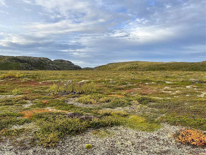 Klicke auf die Grafik für eine vergrößerte Ansicht  Name: 20230-09 Varanger - 001553.jpg Ansichten: 0 Größe: 5,84 MB ID: 3254507