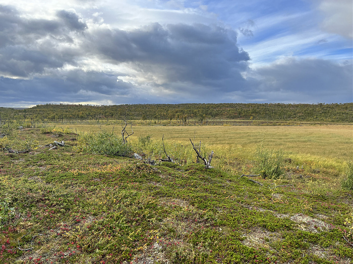 Klicke auf die Grafik für eine vergrößerte Ansicht  Name: 20230-09 Varanger - 001604.jpg Ansichten: 0 Größe: 5,27 MB ID: 3254584