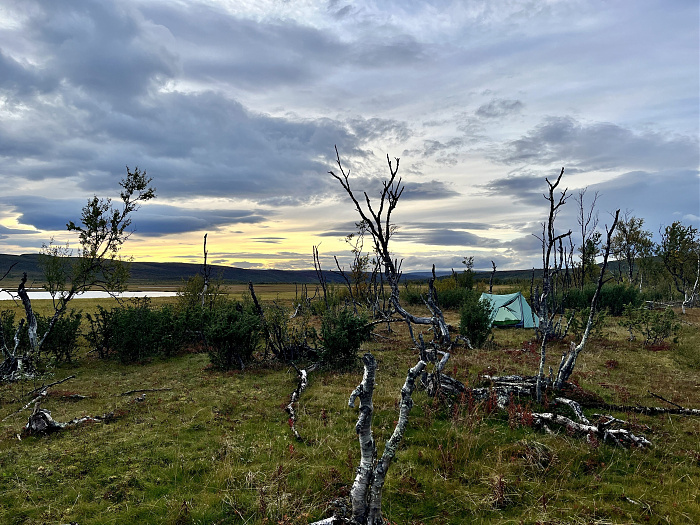 Klicke auf die Grafik für eine vergrößerte Ansicht  Name: 20230-09 Varanger - 001620.jpg Ansichten: 0 Größe: 4,47 MB ID: 3254590