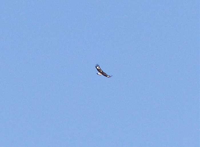 Klicke auf die Grafik für eine vergrößerte Ansicht

Name: 202308_NOR_Borgefjell_228.jpg
Ansichten: 402
Größe: 118,1 KB
ID: 3254865