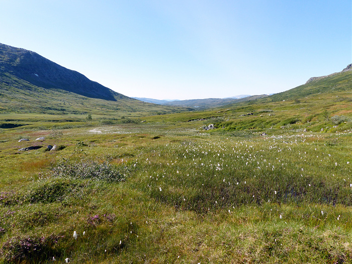 Klicke auf die Grafik für eine vergrößerte Ansicht

Name: 202308_NOR_Borgefjell_230.jpg
Ansichten: 399
Größe: 3,99 MB
ID: 3254867