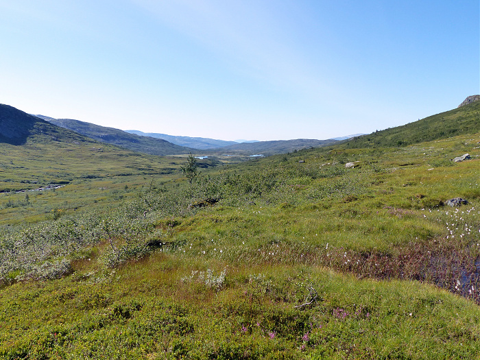 Klicke auf die Grafik für eine vergrößerte Ansicht

Name: 202308_NOR_Borgefjell_231.jpg
Ansichten: 396
Größe: 4,30 MB
ID: 3254868