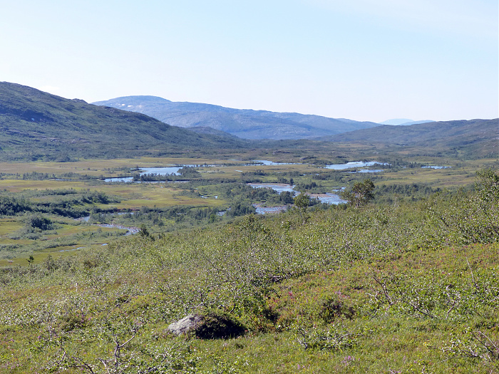 Klicke auf die Grafik für eine vergrößerte Ansicht

Name: 202308_NOR_Borgefjell_233.jpg
Ansichten: 394
Größe: 3,92 MB
ID: 3254870