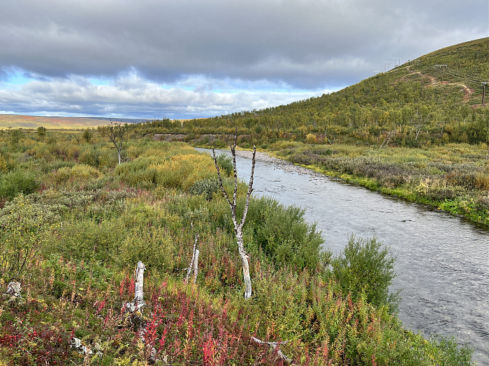 Klicke auf die Grafik für eine vergrößerte Ansicht  Name: 20230-09 Varanger - 001623.jpg Ansichten: 0 Größe: 5,92 MB ID: 3254999
