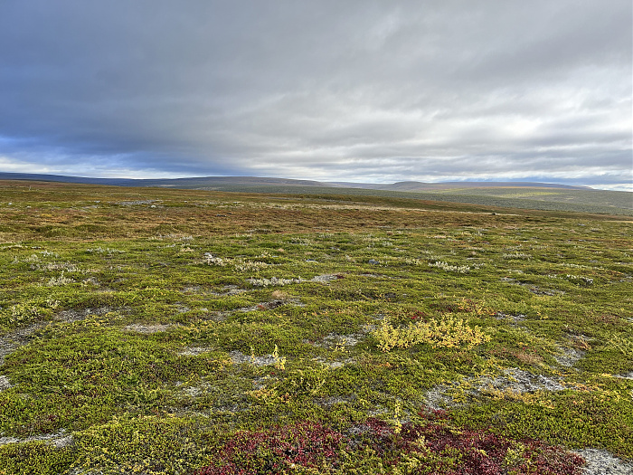 Klicke auf die Grafik für eine vergrößerte Ansicht  Name: 20230-09 Varanger - 001634.jpg Ansichten: 0 Größe: 5,69 MB ID: 3255006