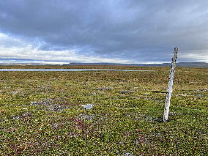 Klicke auf die Grafik für eine vergrößerte Ansicht  Name: 20230-09 Varanger - 001636.jpg Ansichten: 0 Größe: 5,22 MB ID: 3255008