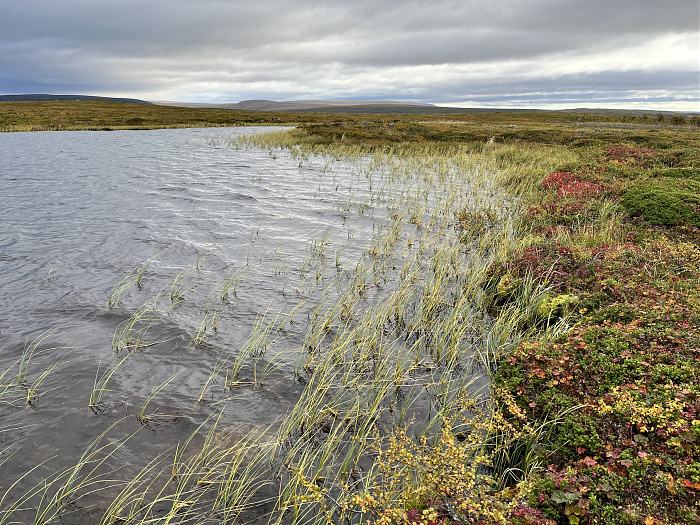Klicke auf die Grafik für eine vergrößerte Ansicht  Name: 20230-09 Varanger - 001641.jpg Ansichten: 0 Größe: 5,74 MB ID: 3255009
