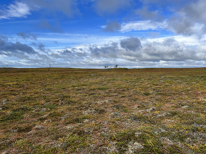 Klicke auf die Grafik für eine vergrößerte Ansicht  Name: 20230-09 Varanger - 001642.jpg Ansichten: 0 Größe: 5,51 MB ID: 3255012