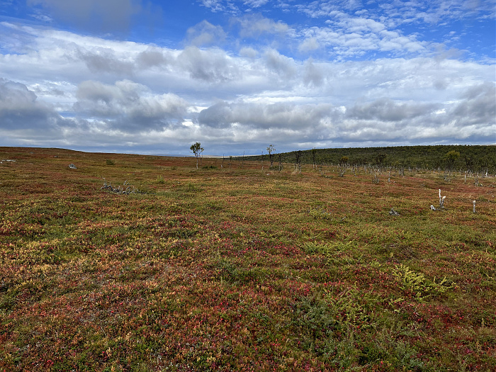 Klicke auf die Grafik für eine vergrößerte Ansicht  Name: 20230-09 Varanger - 001650.jpg Ansichten: 0 Größe: 5,51 MB ID: 3255013