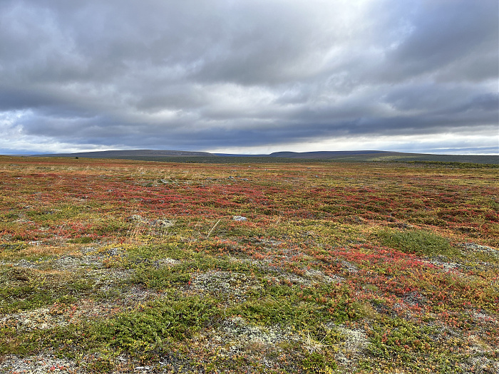Klicke auf die Grafik für eine vergrößerte Ansicht  Name: 20230-09 Varanger - 001643.jpg Ansichten: 0 Größe: 5,67 MB ID: 3255014