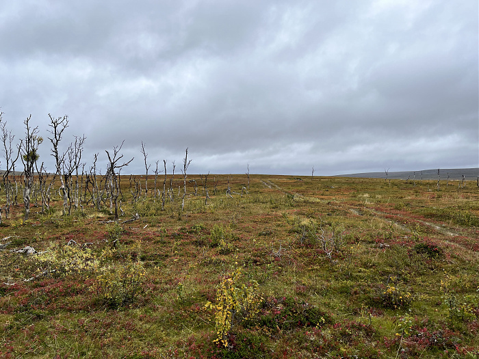 Klicke auf die Grafik für eine vergrößerte Ansicht  Name: 20230-09 Varanger - 001662.jpg Ansichten: 0 Größe: 4,52 MB ID: 3255016
