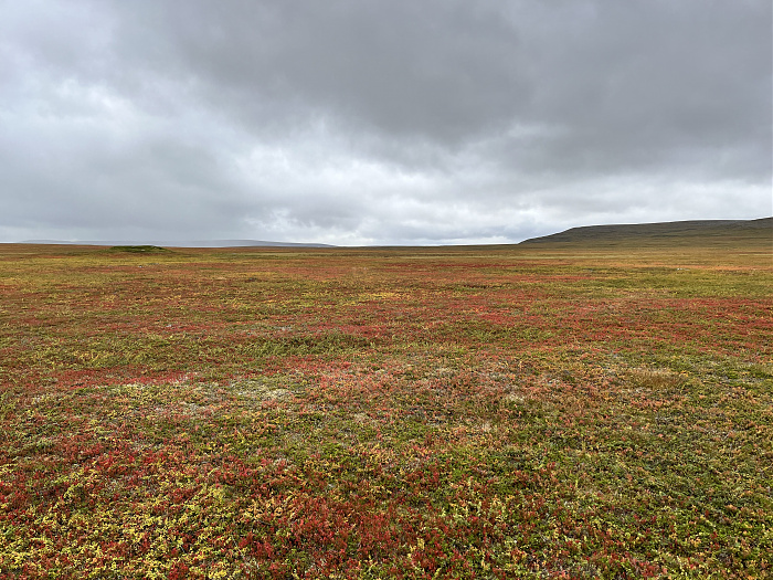 Klicke auf die Grafik für eine vergrößerte Ansicht  Name: 20230-09 Varanger - 001666.jpg Ansichten: 0 Größe: 5,25 MB ID: 3255017