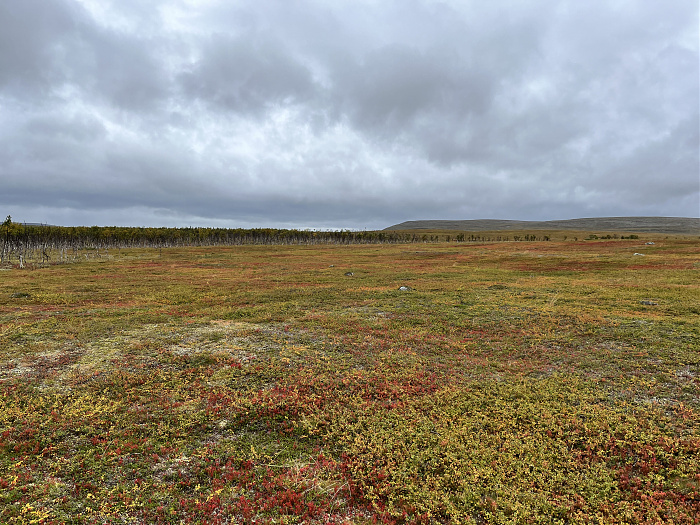 Klicke auf die Grafik für eine vergrößerte Ansicht  Name: 20230-09 Varanger - 001664.jpg Ansichten: 0 Größe: 5,25 MB ID: 3255018