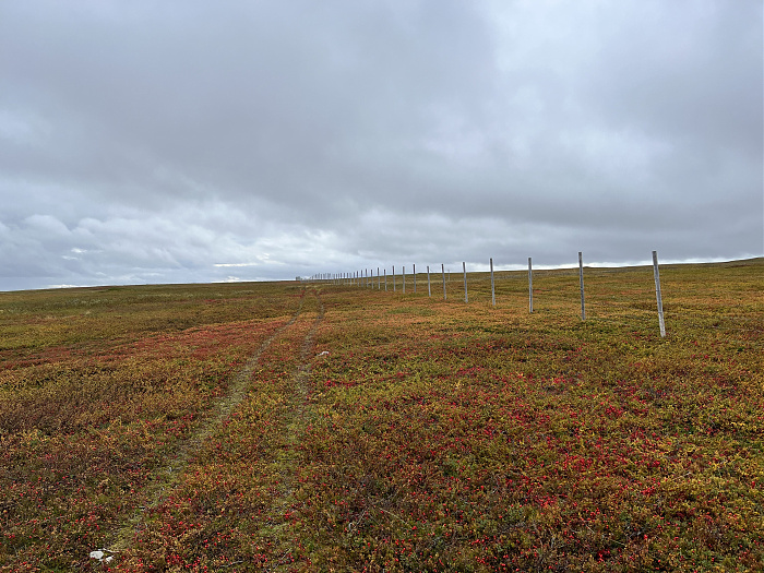 Klicke auf die Grafik für eine vergrößerte Ansicht  Name: 20230-09 Varanger - 001671.jpg Ansichten: 0 Größe: 4,94 MB ID: 3255019