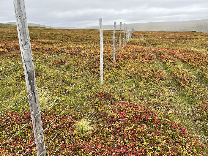 Klicke auf die Grafik für eine vergrößerte Ansicht  Name: 20230-09 Varanger - 001669.jpg Ansichten: 0 Größe: 7,83 MB ID: 3255023
