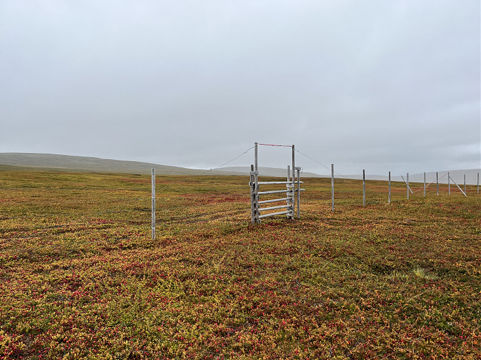 Klicke auf die Grafik für eine vergrößerte Ansicht  Name: 20230-09 Varanger - 001670.jpg Ansichten: 0 Größe: 4,76 MB ID: 3255024