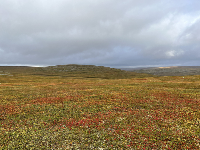 Klicke auf die Grafik für eine vergrößerte Ansicht  Name: 20230-09 Varanger - 001674.jpg Ansichten: 0 Größe: 4,81 MB ID: 3255026