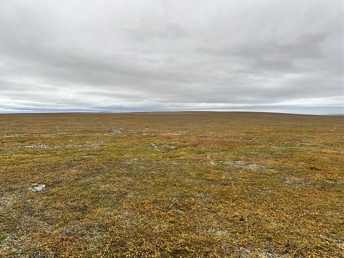 Klicke auf die Grafik für eine vergrößerte Ansicht  Name: 20230-09 Varanger - 001685.jpg Ansichten: 0 Größe: 5,38 MB ID: 3255079