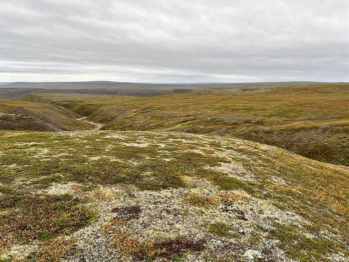 Klicke auf die Grafik für eine vergrößerte Ansicht  Name: 20230-09 Varanger - 001699.jpg Ansichten: 0 Größe: 6,07 MB ID: 3255082