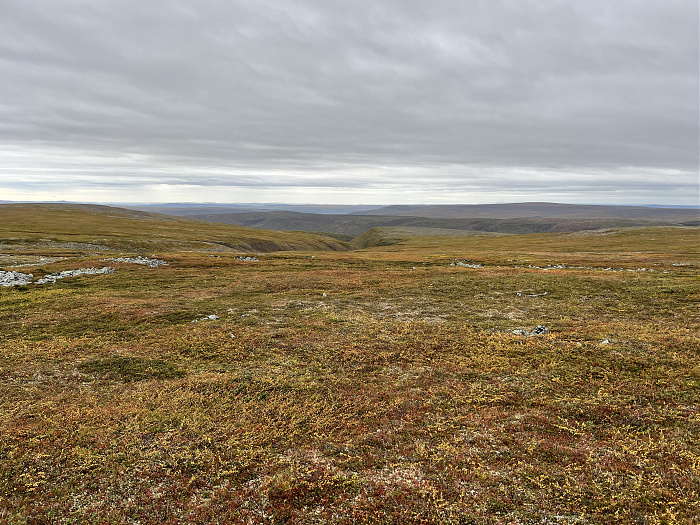 Klicke auf die Grafik für eine vergrößerte Ansicht  Name: 20230-09 Varanger - 001700.jpg Ansichten: 0 Größe: 5,57 MB ID: 3255085
