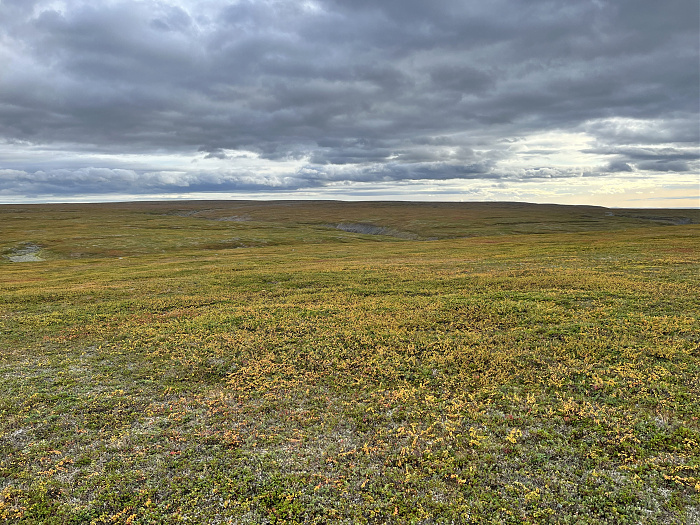Klicke auf die Grafik für eine vergrößerte Ansicht  Name: 20230-09 Varanger - 001721.jpg Ansichten: 0 Größe: 5,82 MB ID: 3255087