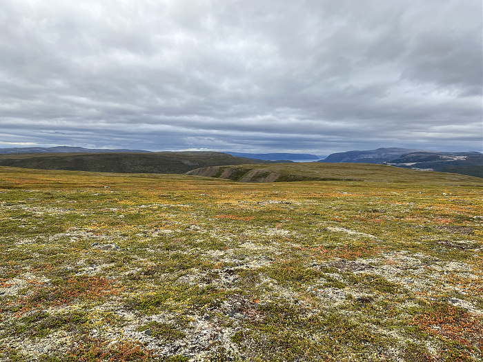 Klicke auf die Grafik für eine vergrößerte Ansicht  Name: 20230-09 Varanger - 001731.jpg Ansichten: 0 Größe: 5,51 MB ID: 3255092
