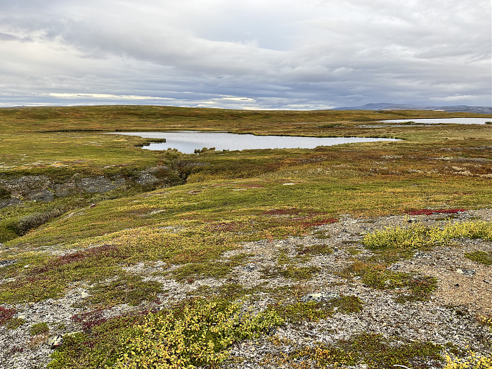 Klicke auf die Grafik für eine vergrößerte Ansicht  Name: 20230-09 Varanger - 001745.jpg Ansichten: 0 Größe: 6,36 MB ID: 3255102