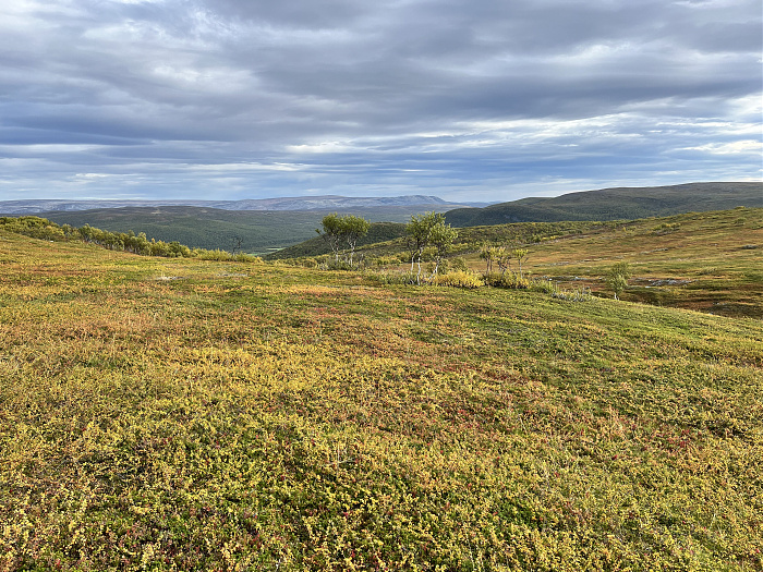 Klicke auf die Grafik für eine vergrößerte Ansicht  Name: 20230-09 Varanger - 001764.jpg Ansichten: 0 Größe: 6,57 MB ID: 3255234