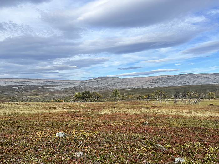 Klicke auf die Grafik für eine vergrößerte Ansicht  Name: 20230-09 Varanger - 001794.jpg Ansichten: 0 Größe: 2,09 MB ID: 3255240