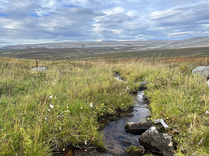 Klicke auf die Grafik für eine vergrößerte Ansicht  Name: 20230-09 Varanger - 001797.jpg Ansichten: 0 Größe: 5,86 MB ID: 3255244