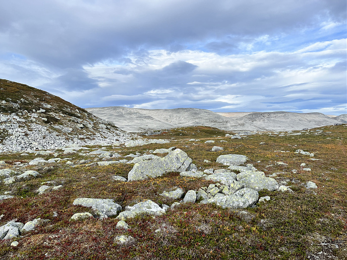 Klicke auf die Grafik für eine vergrößerte Ansicht  Name: 20230-09 Varanger - 001805.jpg Ansichten: 0 Größe: 5,24 MB ID: 3255248